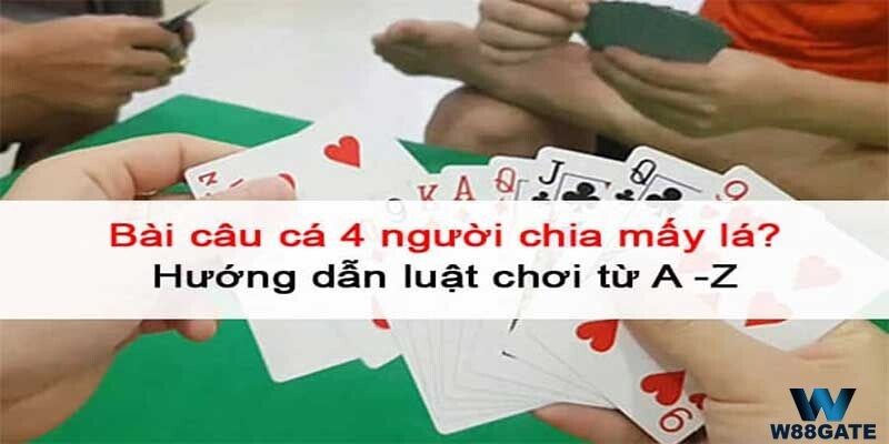 Đánh bài câu cá 4 người chia mấy lá tổng cộng? 