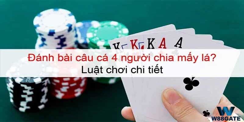 đánh bài câu cá 4 người chia mấy lá? Quy tắc tính điểm đánh bài câu cá cũng khá đơn giản 