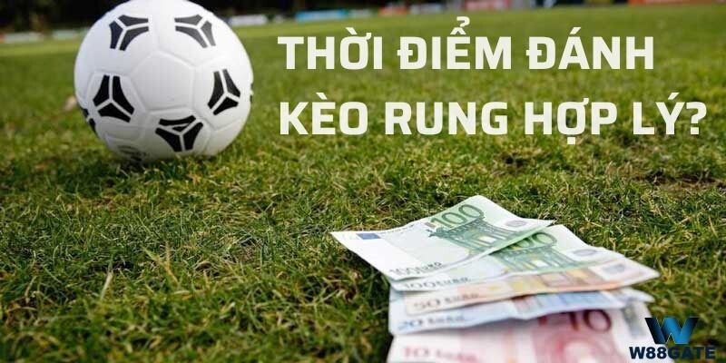 cách đánh kèo rung hiệu quả? Thời điểm đánh kèo rung hợp lý