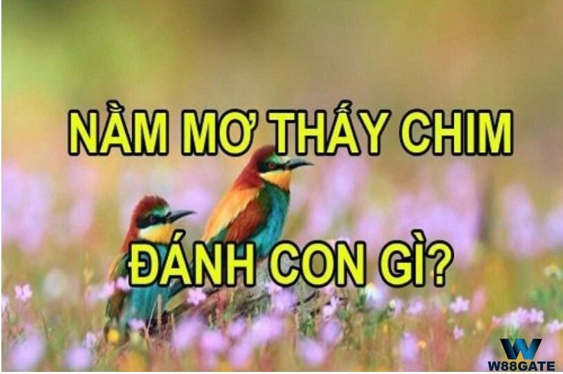 Mơ thấy chim đánh con gì dễ trúng độc đắc?